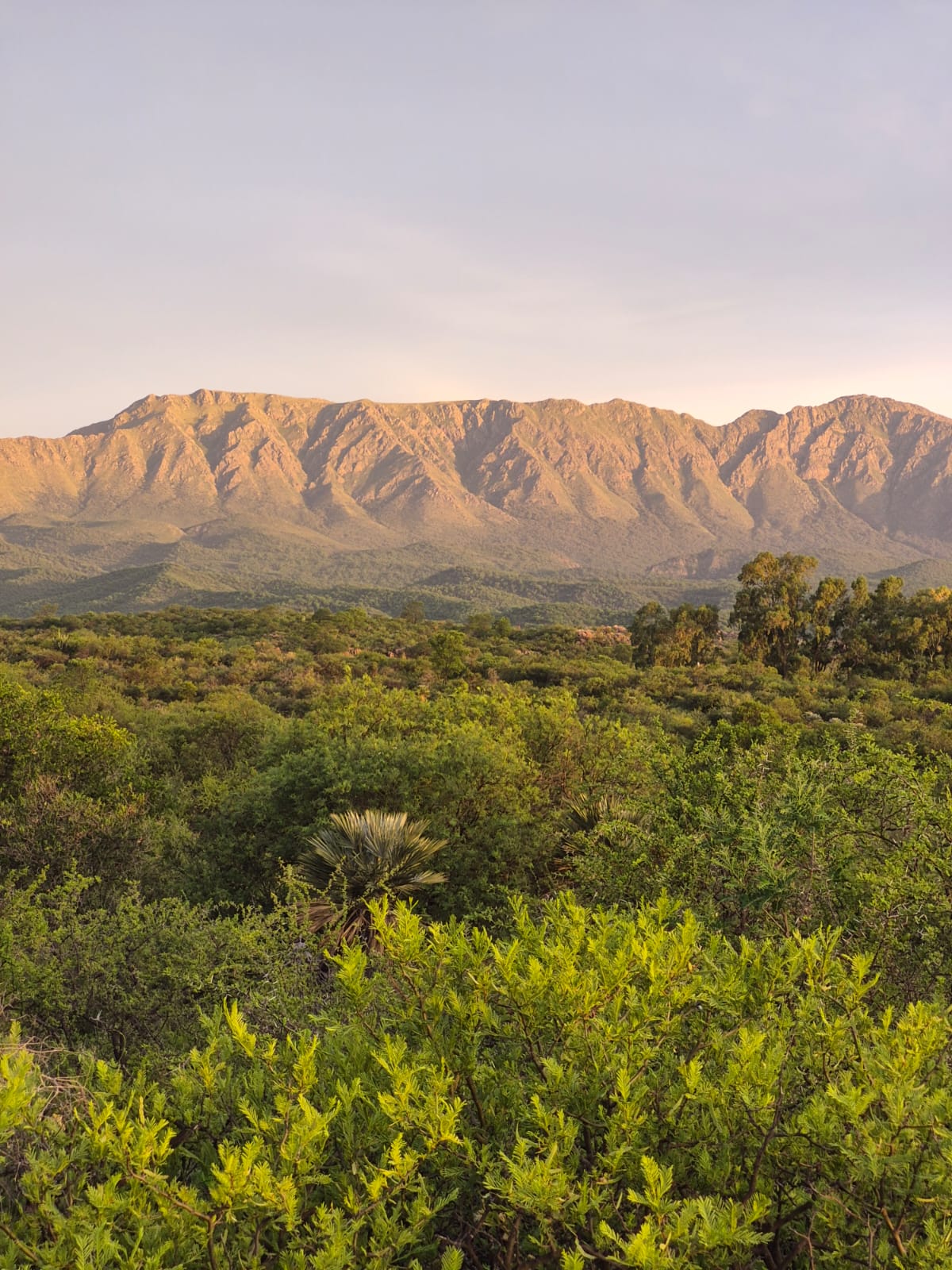 Vegetación nativa y sierras al fondo del terreno de 4 hectáreas
