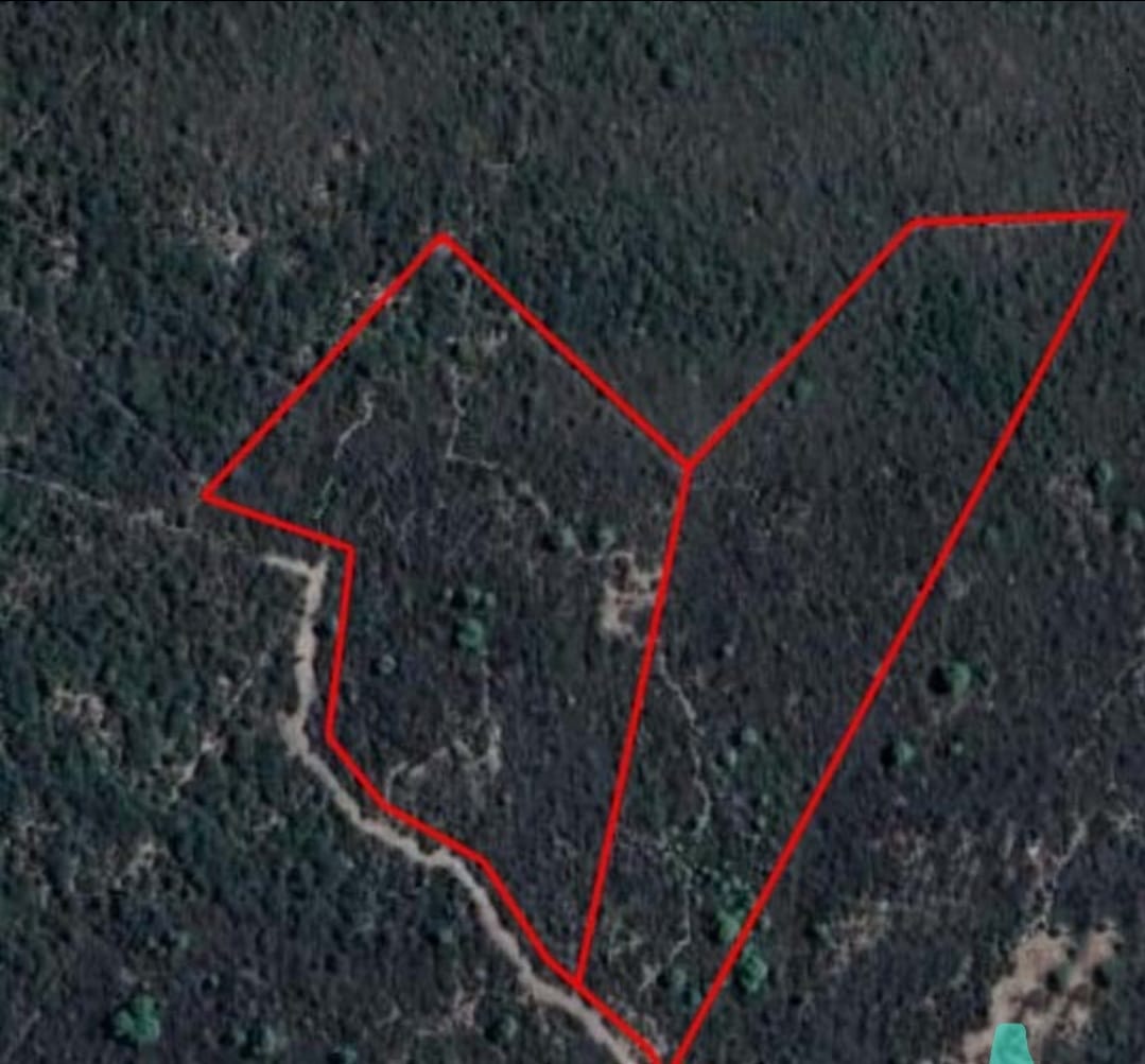 Plano satelital con el límite del campo de 4 hectáreas marcado en Córdoba