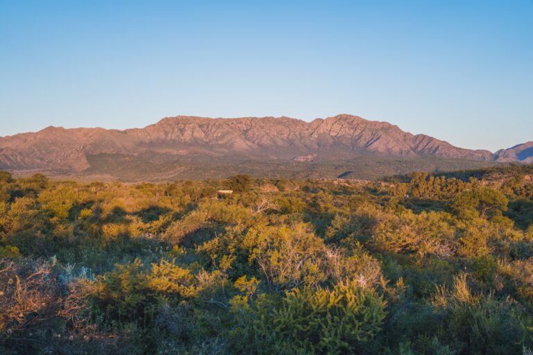 Sierras iluminadas por el atardecer vistas desde el campo