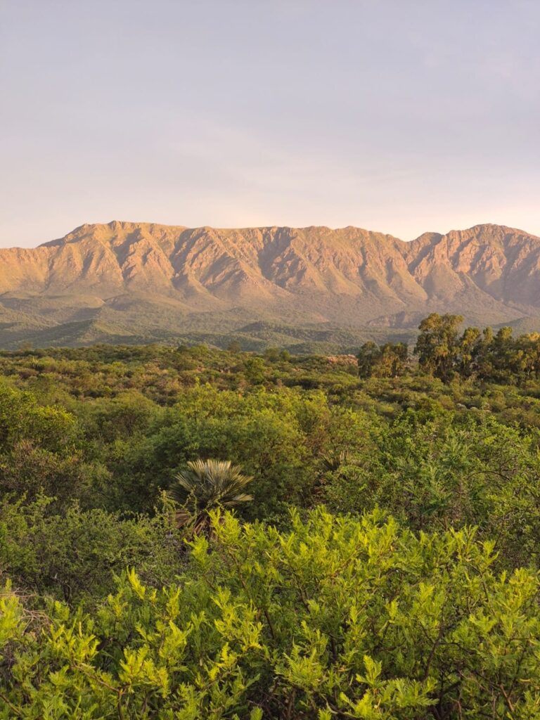 Sierras al atardecer sobre el monte nativo, foto vertical