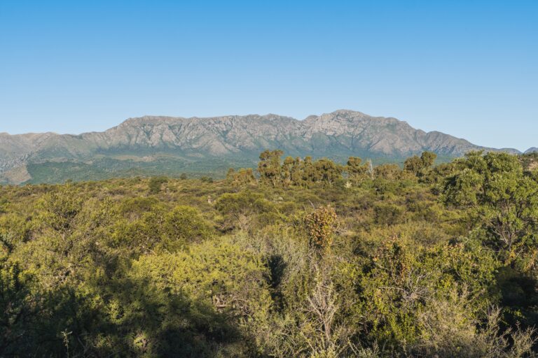 Vista panorámica de las sierras de Córdoba desde el campo